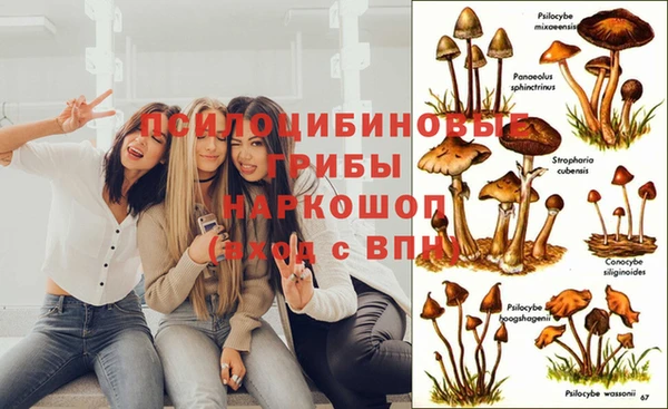 mdma Гусев